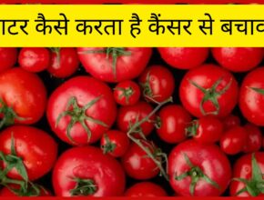 कैंसर से बचाव में टमाटर का अद्भुत योगदान: NCBI की रिसर्च से जुड़ी अहम जानकारी